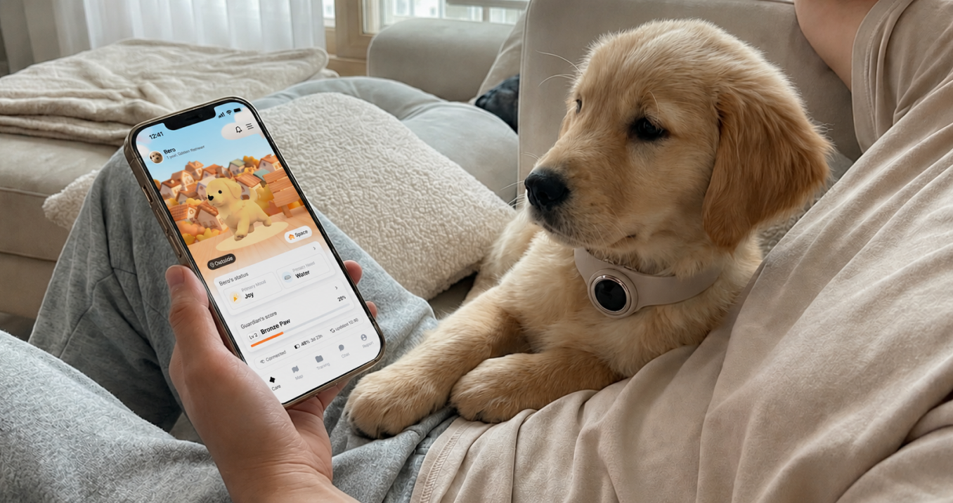 BeroAI smart collar and mobile app shown with a dog owner